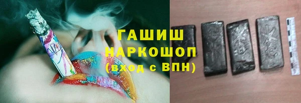 шишки Медвежьегорск
