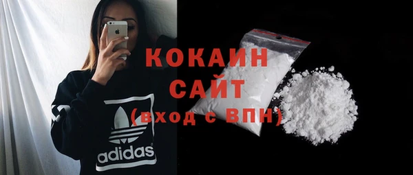 шишки Медвежьегорск