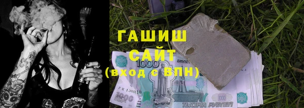 шишки Медвежьегорск