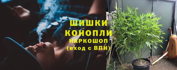 шишки Медвежьегорск