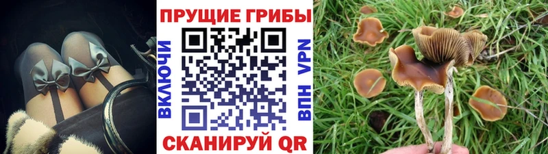 Галлюциногенные грибы Magic Shrooms  Удомля 