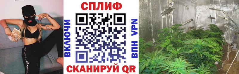 Канабис план  как найти закладки  Удомля 
