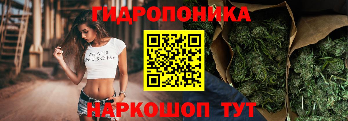 Удомля  Конопля VHQ  Вход с VPN  Конопля план 